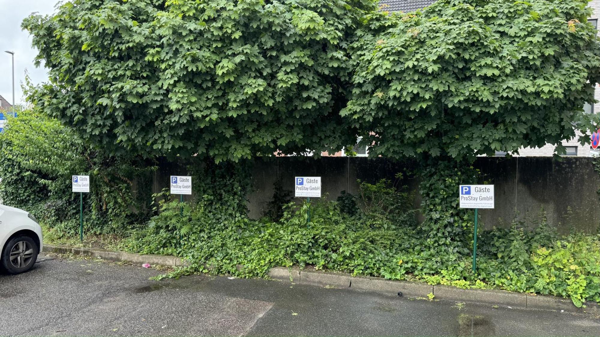 Apartments Im Herzen Von Neumuenster Innenstadt & Hbf Fusslaeufig, Mit Privatparkplatz Dış mekan fotoğraf
